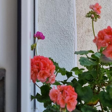 Appartamento Miruna Constanţa Esterno foto