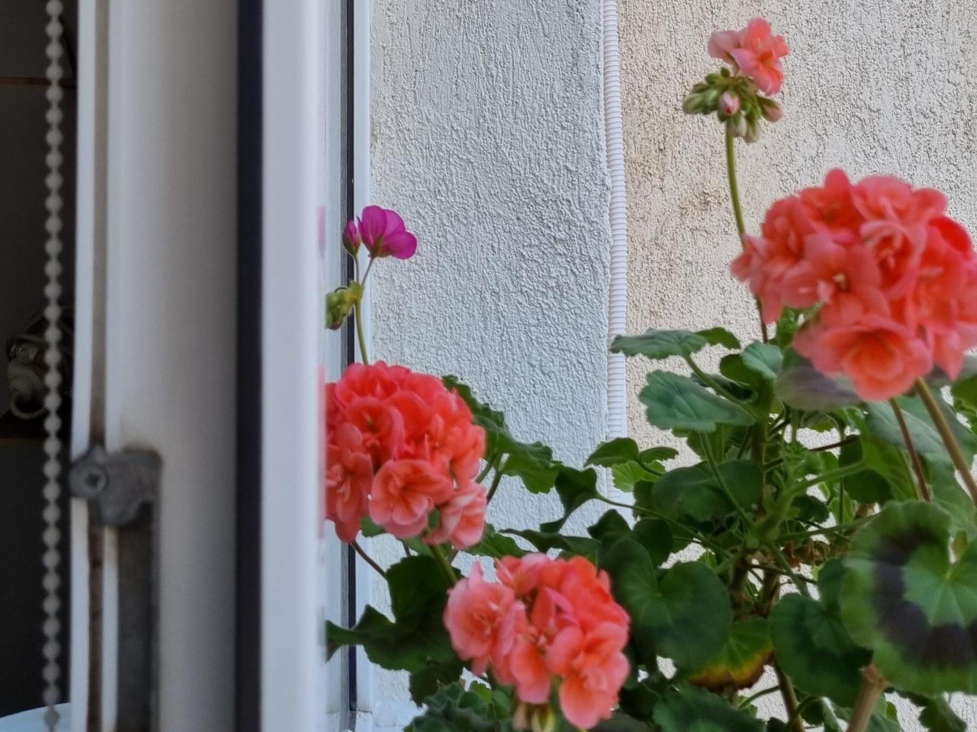 Appartamento Miruna Constanţa Esterno foto